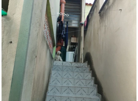 2 casas de 4 quartos e 2 quartos